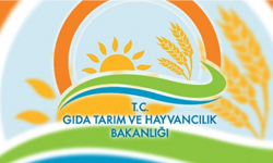 GIDA TARIM VE HAYVANCILIK BAKANLIĞI